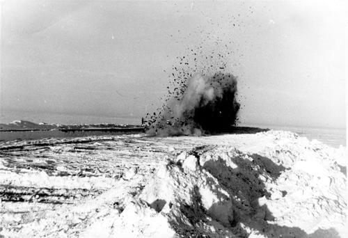 Redis - LGSS history parallax card