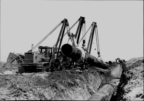 Redis - LGSS history parallax card