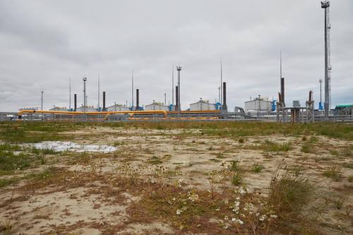 Redis - LGSS history parallax card